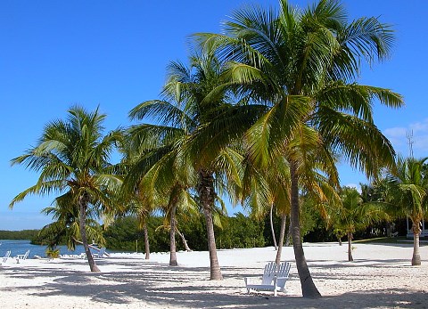 10 Most Beautiful Caribbean-Style Beaches in Florida