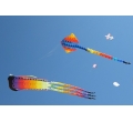 Rogallo Kite Festival