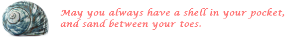 May you always have a shell in your pocket, and sand between your toes