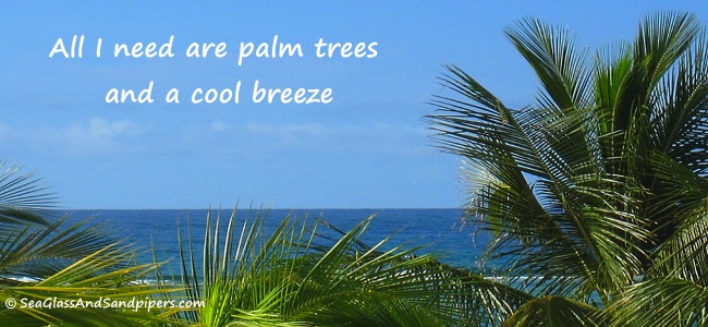 St Croix Palm Trees
