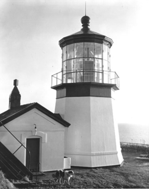Cape Meares Light 1890