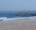 Manasquan Beach